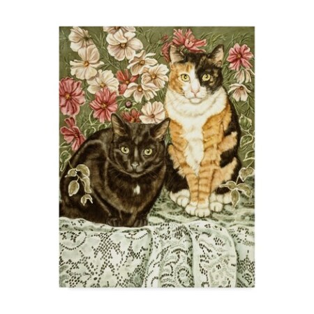 Trademark Fine Art Jan Benz 'Cosmos And Lace' Canvas Art, 35x47 ALI36410-C3547GG